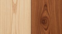 comparing softwood and hardwood