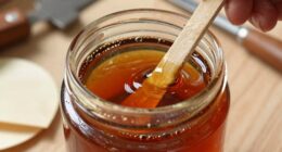 ideal shellac mixing ratio