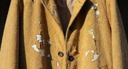 sunlight damages exterior paint