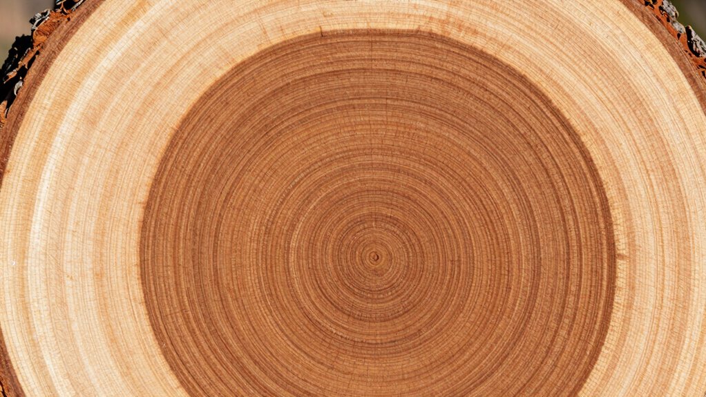 wood type selection guide