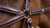 clean bridle joints easily