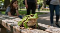 frog position anxiety bench