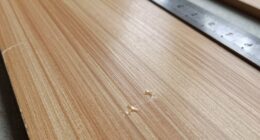 veneer glue affects flatness