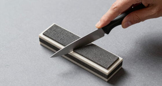 6 Best Diamond Sharpening Stones in 2026 — The Ultimate Guide