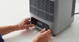 9 Best Dehumidifier for Woodshop in 2026