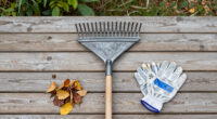 Raking It In