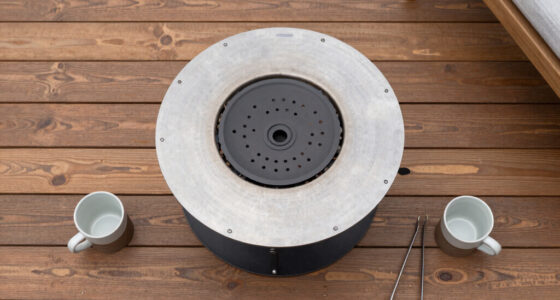 15 Best Wood Burning Fire Pits in 2026