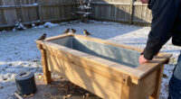 Trade In Traditional Birdbaths: This Budget-Friendly Option Keeps Birds Warm